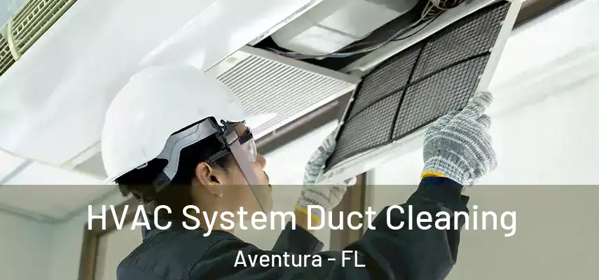  HVAC System Duct Cleaning Aventura - FL