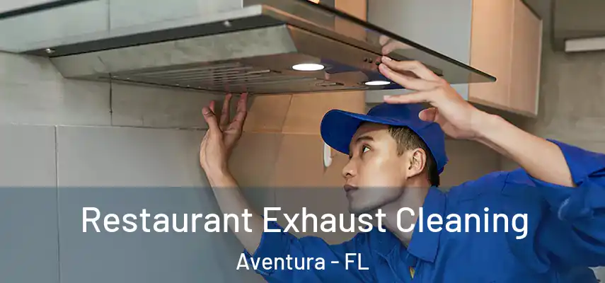  Restaurant Exhaust Cleaning Aventura - FL